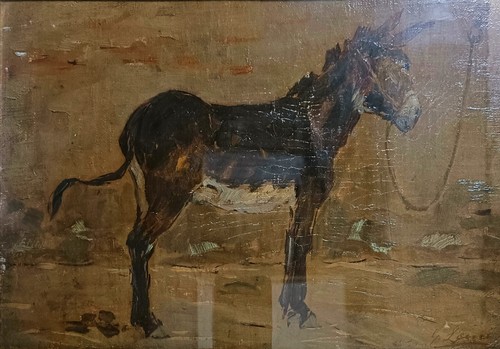 Giovanni lomi asino - giovanni, lomi,