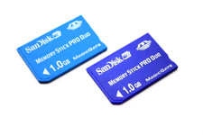 Set di 2 Sandisk Memory Stick