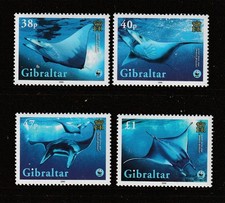 Gibilterra 2006 Marine, Giant