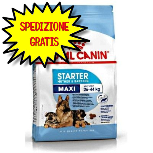 Royal canin cane maxi starter - royal,