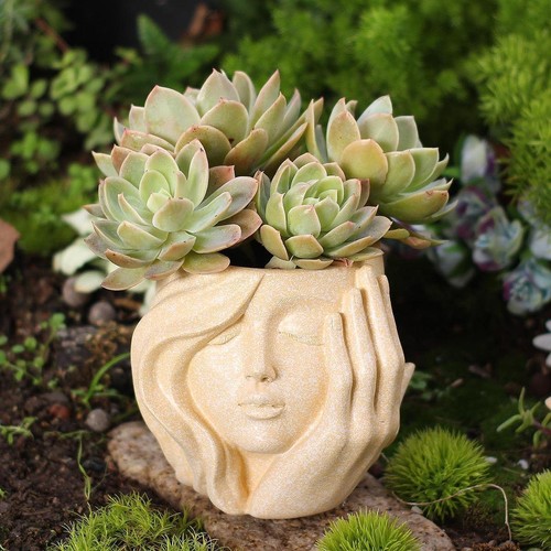 Vaso fiori decorativo - da,