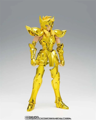 Aquarius hyoga inheritor - aquarius,