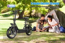 Folding electric scooter with