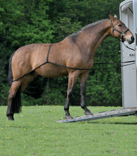 Sistema ausiliario per salire