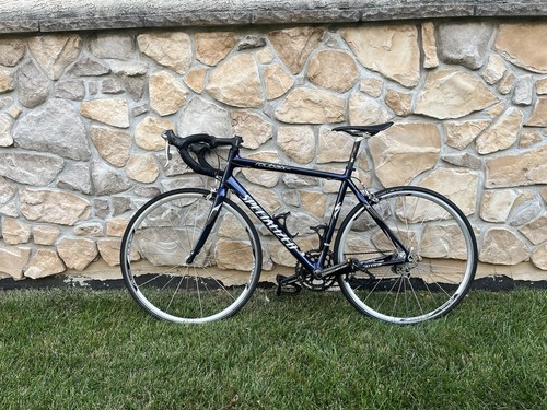 2006 specialized roubaix - specialized, elite