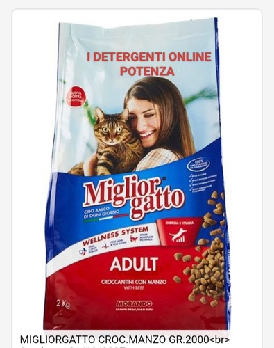 Miglior gatto monge - miglior,