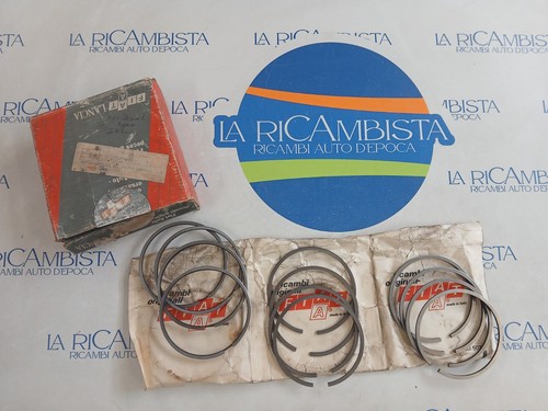 Serie fasce elastiche std - serie,