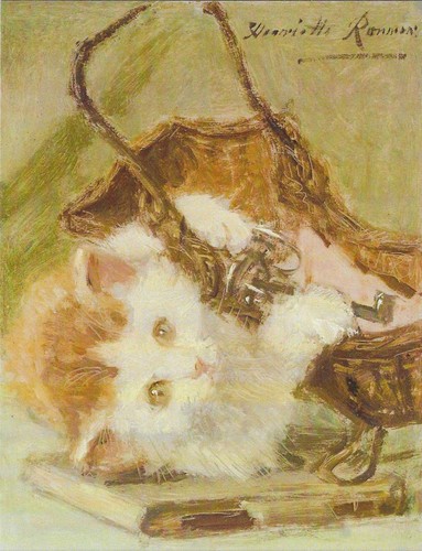 Nuova cartolina gatti gattini - nuova,