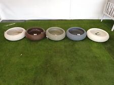 ctfs 50 CIOTOLA  SHABBY