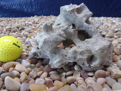 Texas holey rock - 02#,