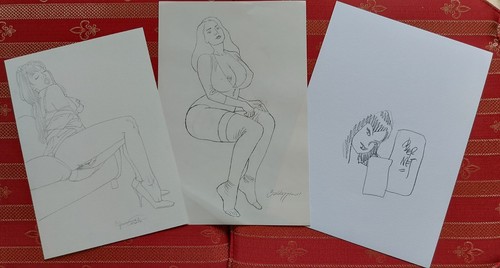 Portfolio xxx silver edition - portfolio,