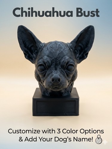 Busto chihuahua colore - -, a