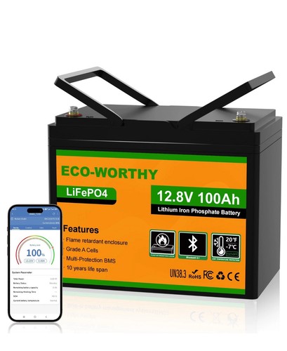 Eco worthy 12v 100ah - 12v,