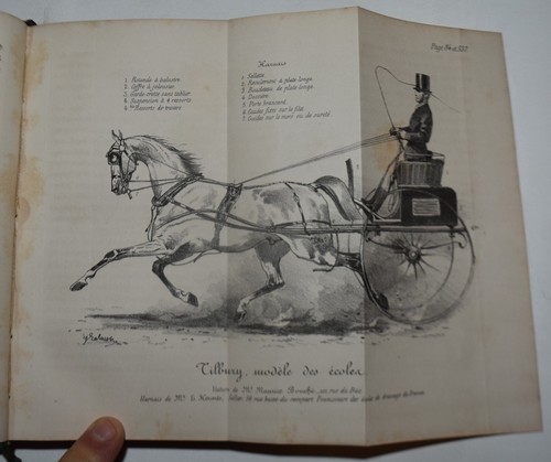Ippica fig 1865 - -, fig.