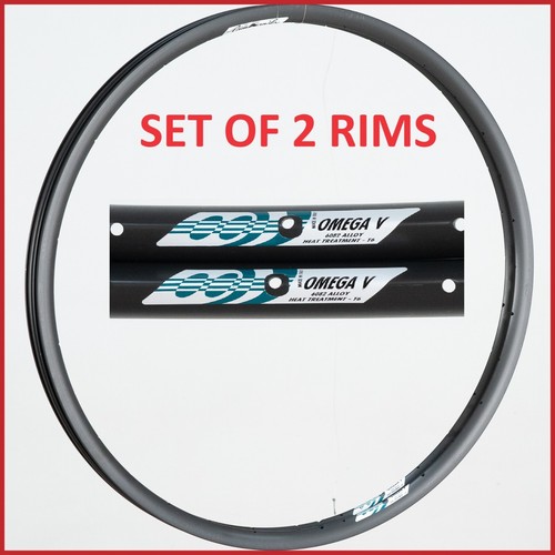 Nos campagnolo omega - campagnolo, clincher