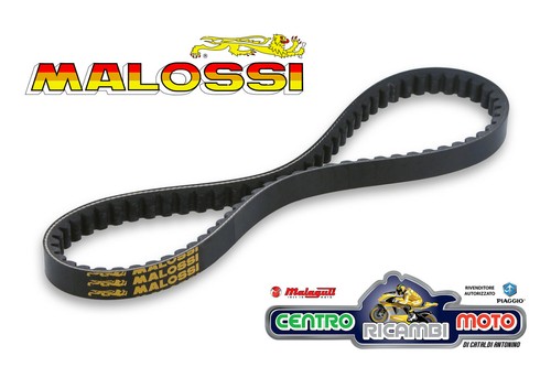 Cinghia special trasmissione - cinghia,