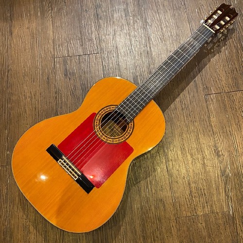 Takamine chitarra - takamine, n.30