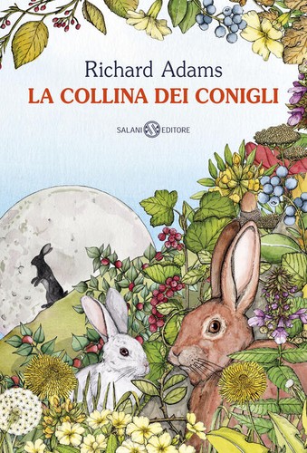 Collina dei conigli - collina,