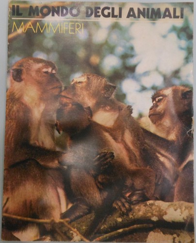 Mondo degli animali - animali,