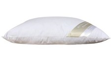 Hofmann cuscino 40x50 piccolo