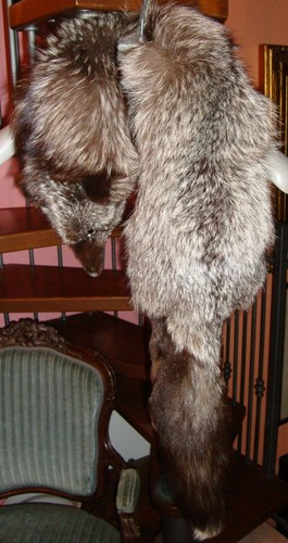 Pelliccia collo volpe - pelliccia,