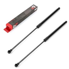 2 molle a gas ammortizzatore