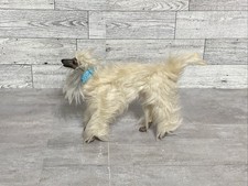 Barbie's Pet Dog Beauty Afghan