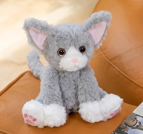 Nuovo grigio devon rex gattino - grigio,