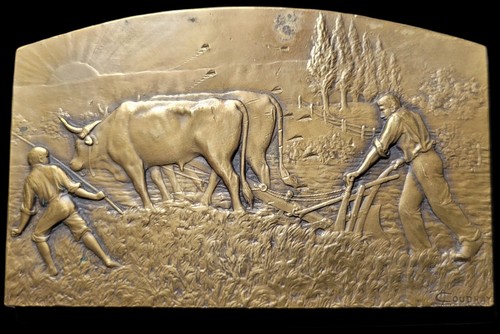 Placca bronzo firmata cloudray - placca,