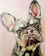 Dipinto Olio Originale Bulldog