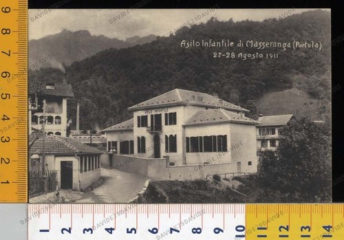 31319 biella portula - 31319],