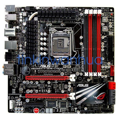 Per asus maximus - per,