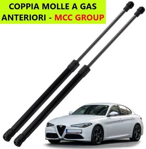 Molle gas pistoncini - a,
