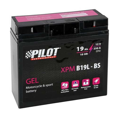 Pilot 12v g12 - 12v, per