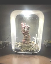 Acquario acqua dolce 15 l completo di design