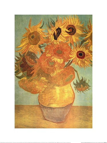 Vincent van gogh girasoli - girasoli,