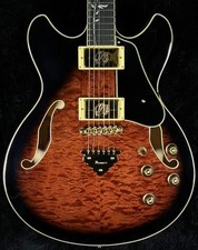 Ibanez Artcore Expressionist