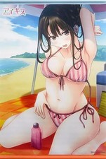 Sofmap Aikiss Ayame Saegusa B2