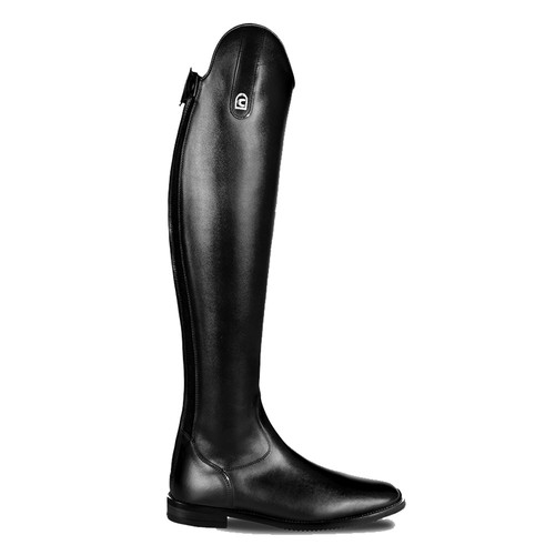 Dressage cavallo linus - dressage,