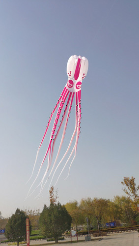 Aquilone polpo gigante - polpo, 12m