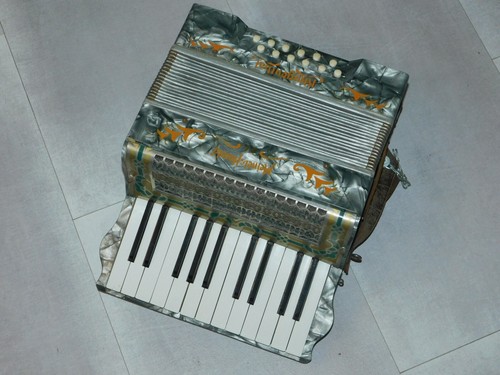 Strumento musicale fisarmonica - strumento,
