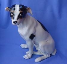 FOX TERRIER JACK RUSSELL