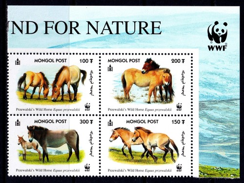 Mongolia 2000 przewalski - mongolia,