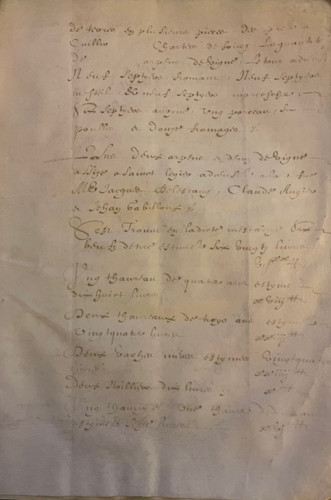 Foglio pergamena - foglio, di