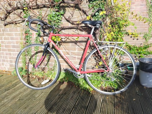 Falcon prestige reynolds - falcon, 531