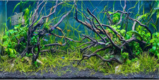 180X46Cm Acquario Tropicale