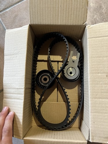 Kit cinghia distribuzione ford - kit,