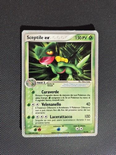 Pokemon sceptile team magma - pokemon,