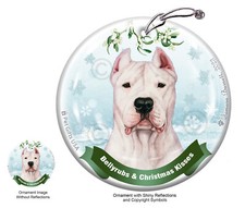 Dogo Argentino Bellyrubs and