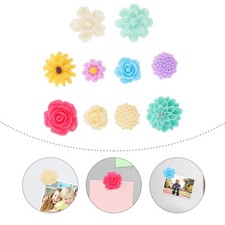  10 Pcs Calamite Da Frigo